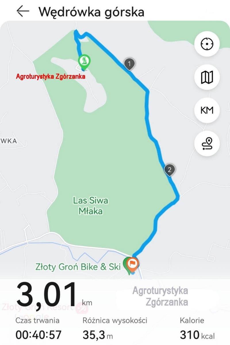 伊斯泰布纳Zgorzanka别墅 外观 照片